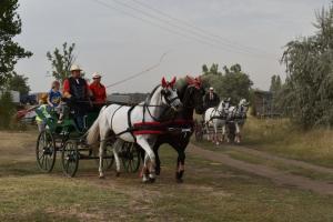 XVII. Biharnagybajomi Lovasnap - 2022. augusztus 20.