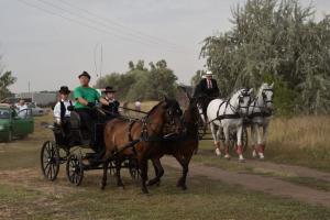 XVII. Biharnagybajomi Lovasnap - 2022. augusztus 20.