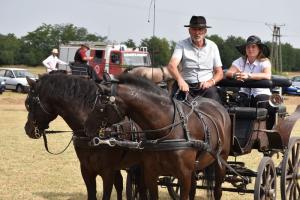 XVII. Biharnagybajomi Lovasnap - 2022. augusztus 20.